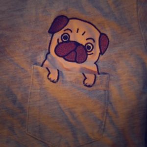 Pug in a pocket